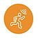 Human Body Sensing