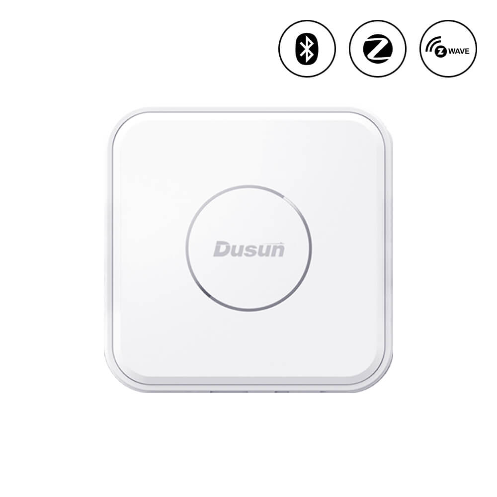 Home Assistant Gateway 6 DSGW 210 A 1