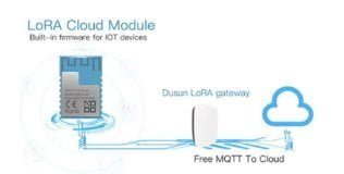 lora solution 1
