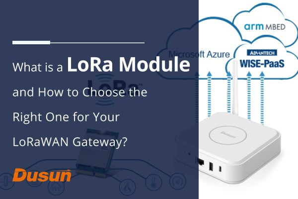 What is a LoRa Module