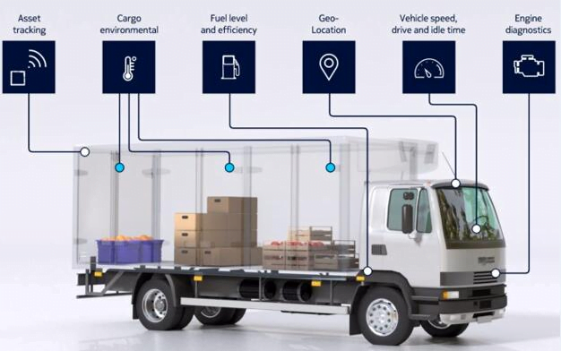 Cold Chain Supply