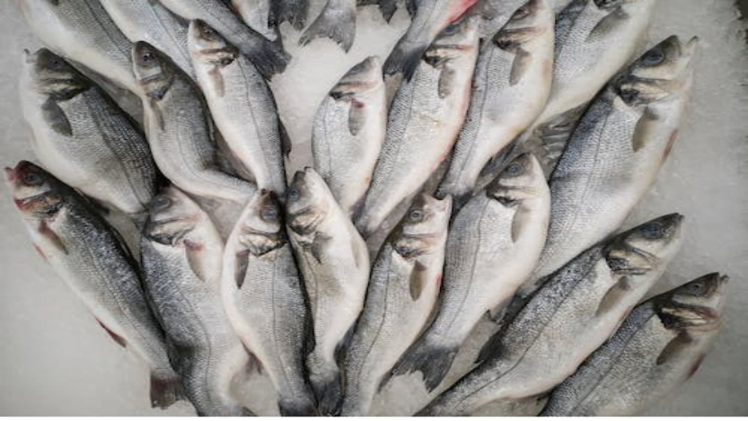 Cold chain monitoring for food