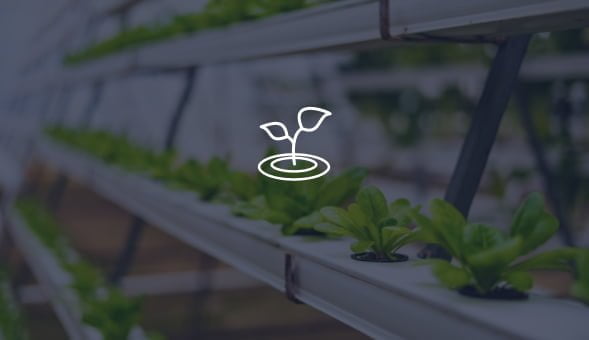DSGW-290-3 Smart Home BLE Gateway, Raspberry Pi Gateway Alternative 14 Smart agriculture solution use case