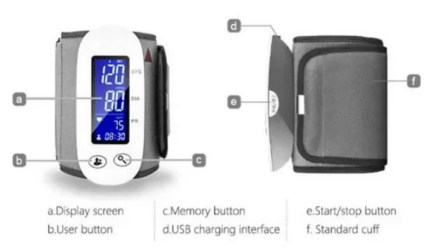 Remote Blood Pressure Monitoring System