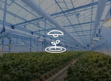home assistant grow lighting