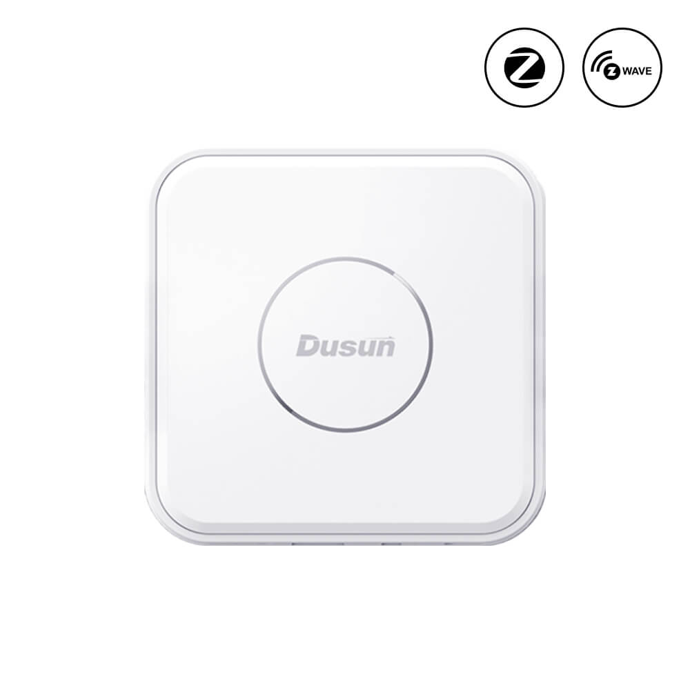 DSGW-210 HA Home Assistant Pre-Installed Zigbee Z-Wave Ethernet Gateway