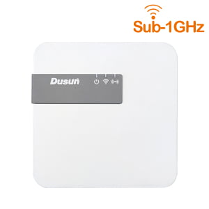 DSGW 095