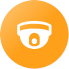 icon security