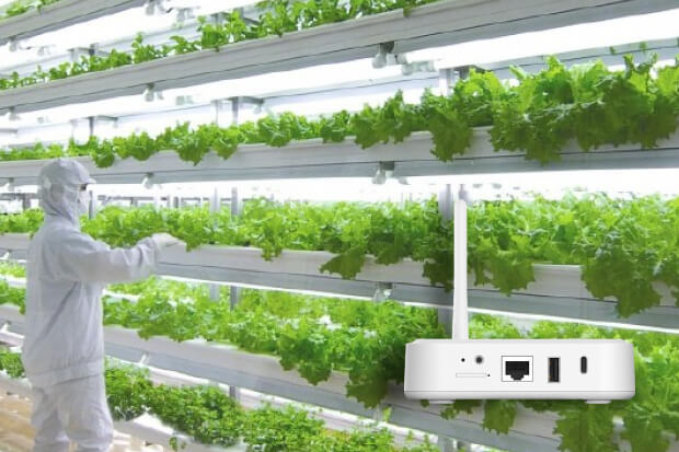 Smart Agriculture