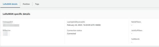 Comment se connecter Dusun Passerelle LoRaWAN vers la plateforme AWS IOT LoRaWAN ? 8 图片 25