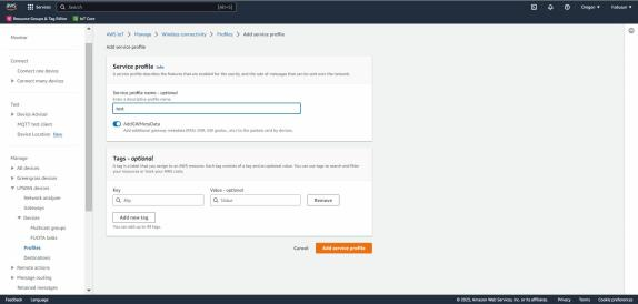 Comment se connecter Dusun Passerelle LoRaWAN vers la plateforme AWS IOT LoRaWAN ? 12 图片 29