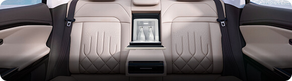 Car Refrigerator