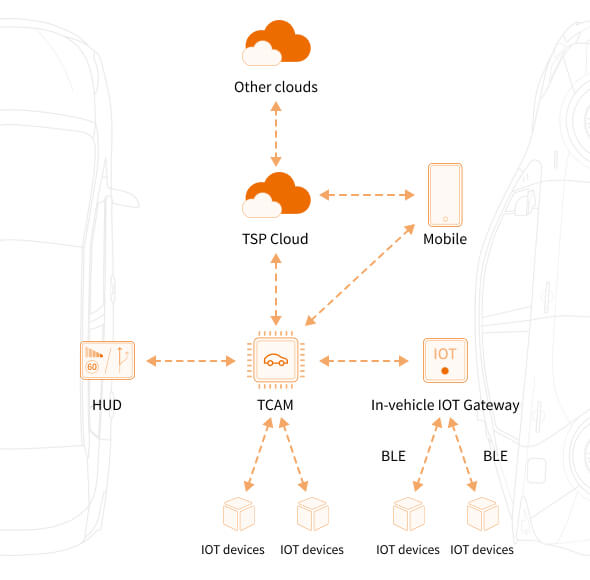 In vehicle ecology (1)